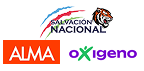 Partido